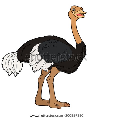 Cartoon animal - ostrich - flat coloring style - illustration for ...