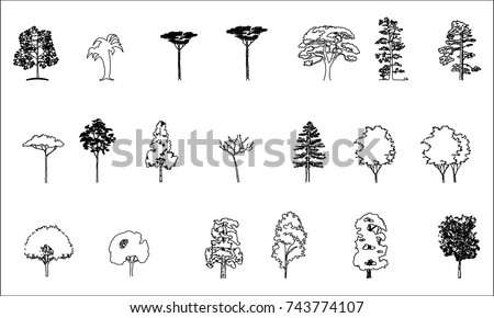 Tree Drawing Stock Images, Royalty-free Images & Vectors 