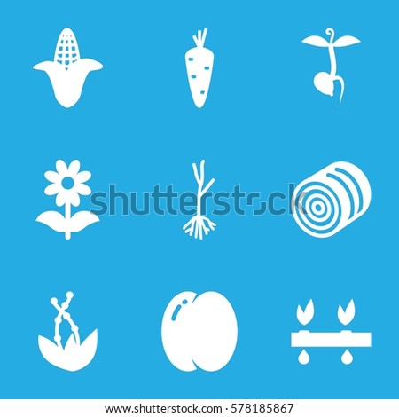 plant icon. Set of 9 plant filled icons such as hay, carrot, peach, corn, flower, sprout
