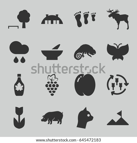 Nature icons set. set of 16 nature filled icons such as harvest, peach, grape, moose, pig, chameleon, bowl, maple syrup, barn, rain, mountain, butterfly, flower