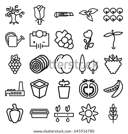 Plant icons set. set of 25 plant outline icons such as plant, hay, peach, grape, tree, grape, cutter, watering can, raspberry, rose, pepper, tomato, peas, heart flower