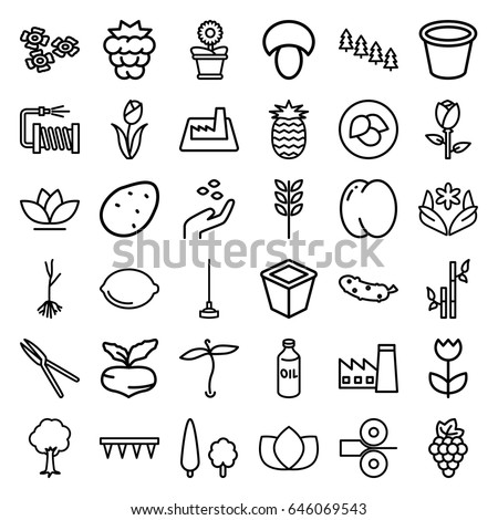 Plant icons set. set of 36 plant outline icons such as plant, leaf, mushroom, potato, peach, mulberry, grape, beet, rose, oil, hand with seeds, pine tree, factory, lotus