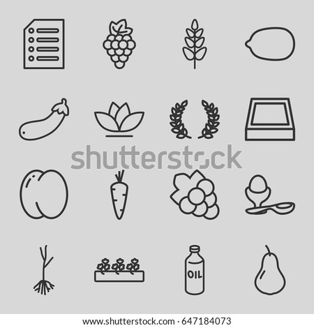 Organic icons set. set of 16 organic outline icons such as carrot, pear, peach, grape, oil, lemon, grape, boiled egg, flower, sprout plants, sprout, aubergine, plant, paper
