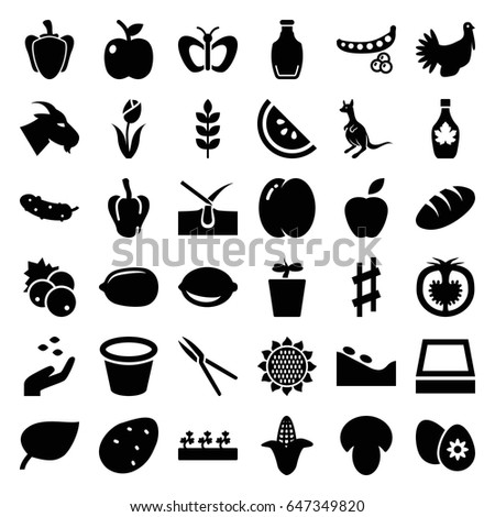 Natural icons set. set of 36 natural filled icons such as wheat, mushroom, currant, potato, peach, peas, pepper, sunflower, corn, bread, hand with seeds, goat, kangaroo