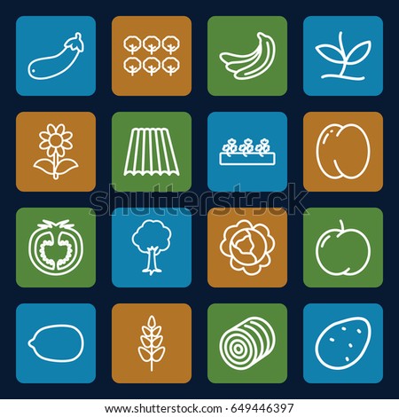 Organic icons set. set of 16 organic outline icons such as field, hay, potato, peach, apple, banana, cabbage, tree, lemon, flower, sprout plants, aubergine, tomato