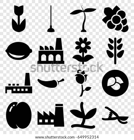 Plant icons set. set of 16 plant filled icons such as plant, leaf, peach, factory, grape, pepper, hoe, garden tools, flower, lemon