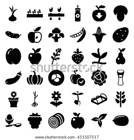 Organic icons set. set of 36 organic filled icons such as leaf, mushroom, hay, potato, onion, peach, mulberry, cabbage, deel, corn, apple, lemon, energy drink, cucumber