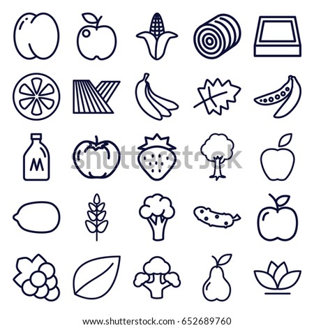 Organic icons set. set of 25 organic outline icons such as field, milk can, hay, leaf, strawberry, peach, apple, cauliflower, corn, lemon, grape, cucumber, flower, tree, pear
