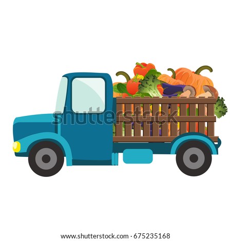 Natural Images Vector Natural Images Vector