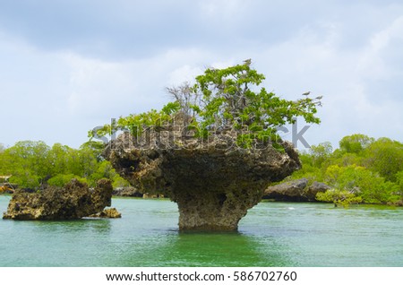 Rock Outcropping Stock Images, Royalty-Free Images ...