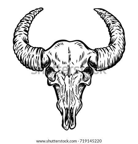Buffalo Skull Hand Drawn Vector Illustration Stock Vector 379392460