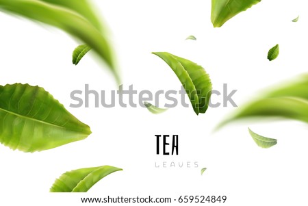 Vividly Flying Green Tea Leaves White Stock Illustration ...