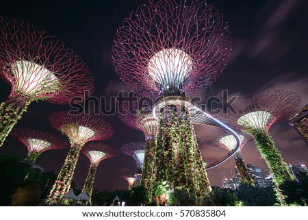 Garden By The Bay Fireworks gardensthe bay stock images, royalty-free images & vectors Garden By The Bay Fireworks gardensthe bay stock images, royalty-free images & vectors