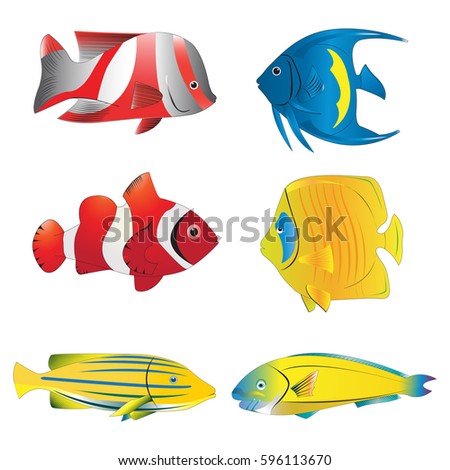 Tropical Reef Fish Collection Detailed Vector Stock Vector 74906818