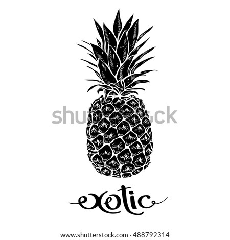 Image of black and white pineapple fruit lettering exotic on background. Print t-shirt, graphic element for your design. Vector illustration.