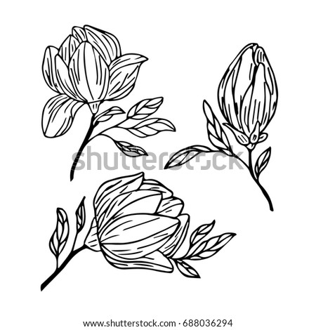 sketch tulip sketch flowers stock vector 377892700 shutterstock sketch tulip sketch flowers stock vector 377892700 shutterstock