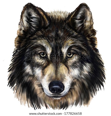 Wolf Head Digital Painting Wolf Head Stock Illustration 177826658 ...