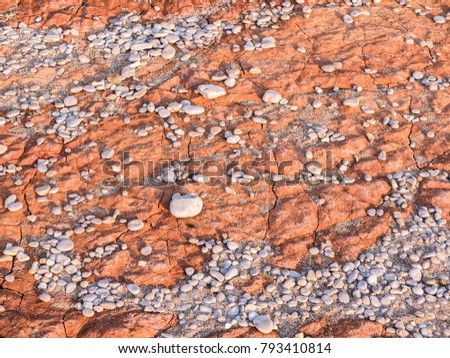 Silt Soil Stock Images Royalty Free Images Vectors 