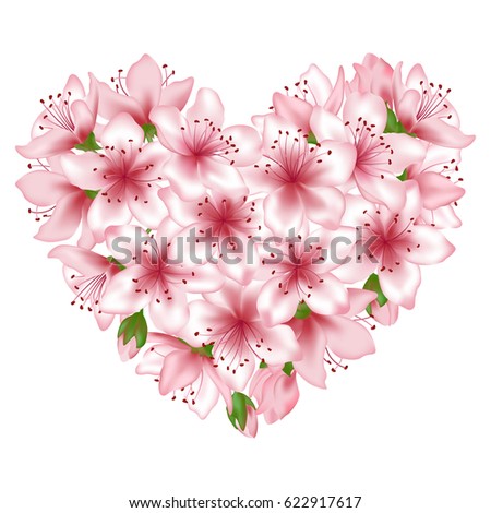 Spring tree blossom flowers heart vector illustration isolated on white. Floral heart love symbol. Japanese cherry, peach or apple tree blossom flowers vector. Pink blooming elements graphic design.