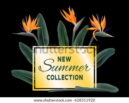 New Summer Collection sale vector poster. Text on golden fame and strelitzia reginae exotic jungle leaves and flowers illustration. Exotic tropical plant - bird of paradise on black. Stylish banner.