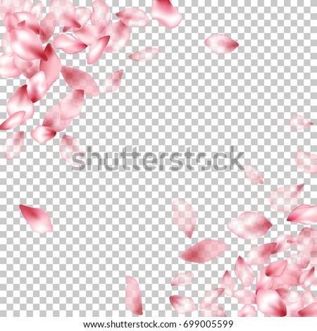 Pink Flower Petal Confetti Vector Corners Stock Vector 699005599