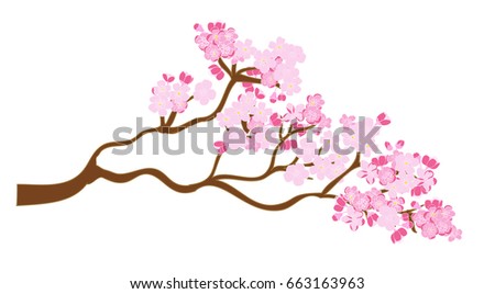Peach blossom plant and Sakura flower vector