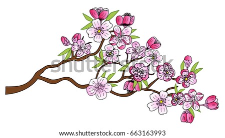 Peach blossom plant and Sakura flower vector