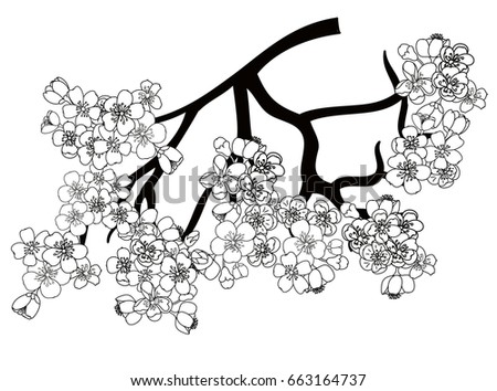 Doodle art Peach blossom plant and Sakura flower vector