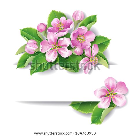 Apple tree blossom with space for text.