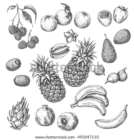 Monochrome Tropical Fruits Set. Hand drawn sketch of lychee, pomegranate, orange, banana, dragon fruit, fig, kiwi fruit, persimmon, starfruit, avocado and pineapple.