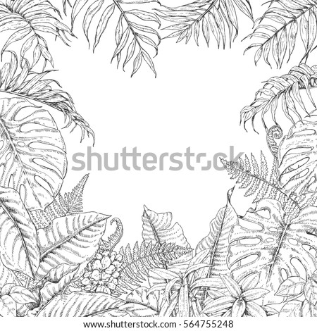 tropical leaf coloring sketch templates