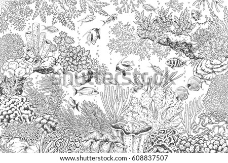Marine Ecosystem Stock Images, Royalty-Free Images & Vectors | Shutterstock