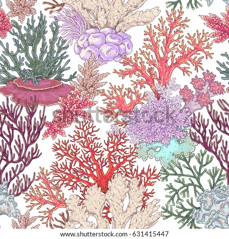 Hand drawn underwater natural elements. Coral reef seamless pattern. Vivid corals on white background. Undersea bottom texture.