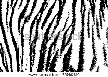 Tiger Stripes Stock Images, Royalty-Free Images & Vectors | Shutterstock