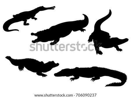 Alligator Stock Images, Royalty-Free Images & Vectors | Shutterstock