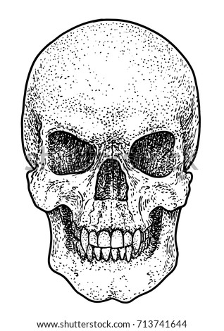 Hand Drawn Realistic Skull Dotted Technique Stock Vector 646142518