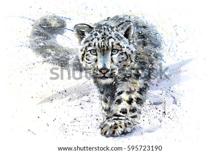 Snow leopard
