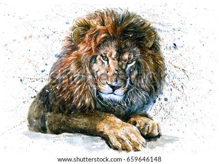 lion drawing