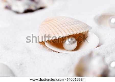 Shells and pearls in the sand