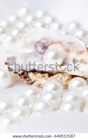 Shells and pearls in the sand