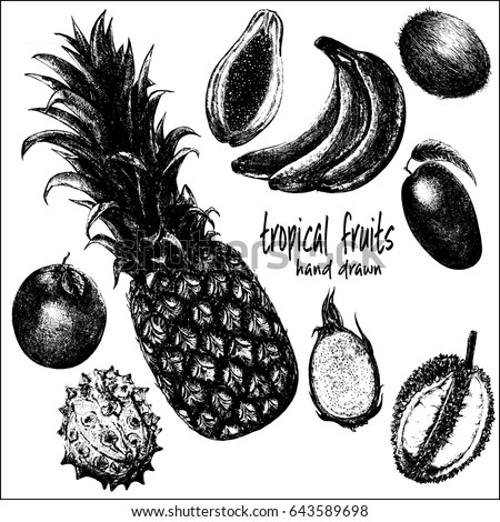 Hand drawn sketch set of tropical fruits. Vector illustration isolated on white background.