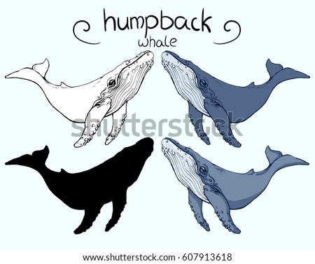 Whale Stock Images, Royalty-Free Images & Vectors | Shutterstock