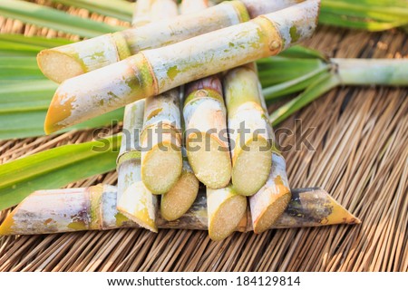 Close up Sugarcane