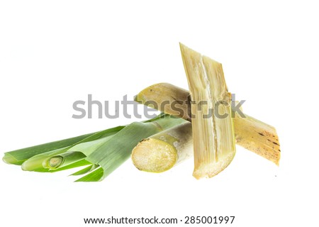 Close up sugarcane isolated on white background