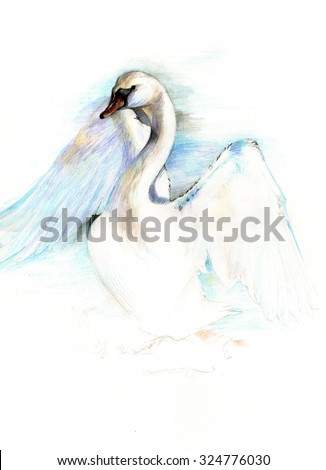 Illustrated Swan Tattoo Stock Photos, Images, & Pictures | Shutterstock