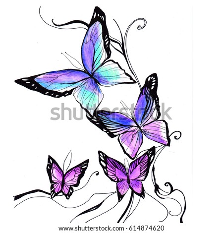 Delicate Colorful Butterfly Hand Paintedpicture Have Stock Illustration ...