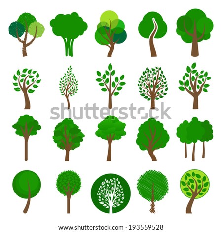 Twenty Different Tree Sorts Names Vector Stock Vector 497821135
