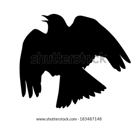 Vector silhouette of the Skylark singing in the courtship flight ...