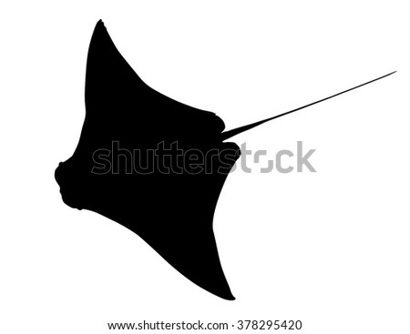 Cartoon stingray Stock Photos, Images, & Pictures | Shutterstock