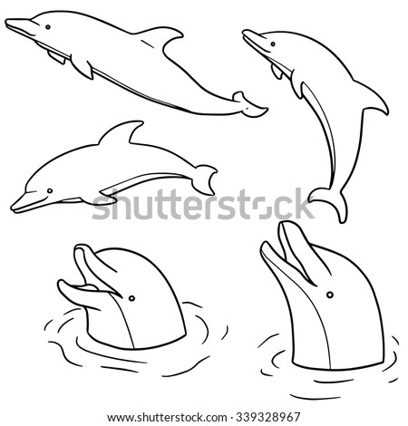 Dolphin Sketch Stock Images, Royalty-Free Images & Vectors | Shutterstock